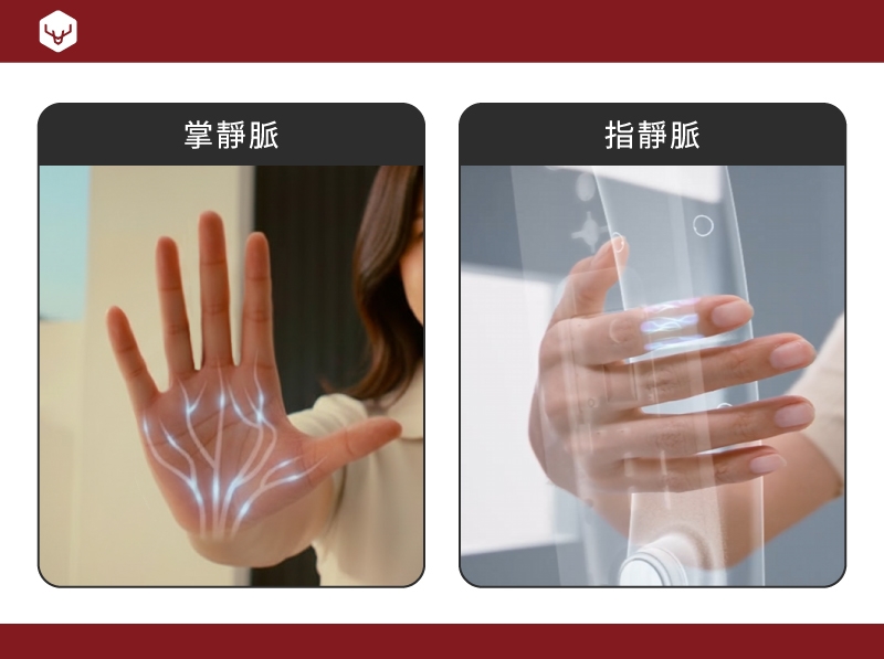 指靜脈？掌靜脈？怎麼挑-4
